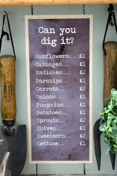 harry-store-dig-it-sign